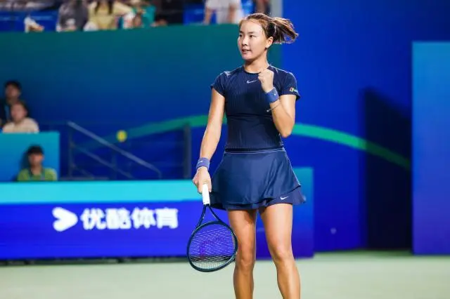 总是和排名, 职业网坛数 总是和排名, 职业网坛数